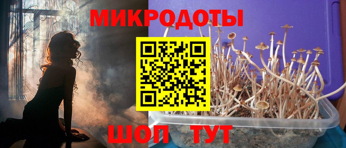Брянск  Псилоцибиновые грибы мухоморы  Вход с VPN 
